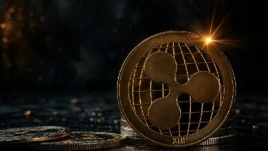 نسبة شارب لـ XRP ترتفع بشكل كبير: ماذا يعني ذلك؟