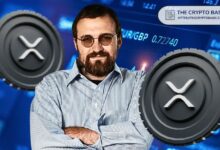 مؤسس كاردانو يؤكد: نظام التمويل اللامركزي لـ XRP لا يزال قيد التطوير