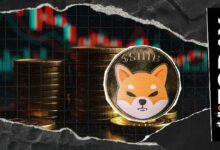 انخفاض المراكب المفتوحة لشيبا إينو 6% مع فشل السعر في التعافي