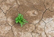 انكماش التمويل اللامركزي (DeFi) اختبار ضغط وليس نهاية الطريق