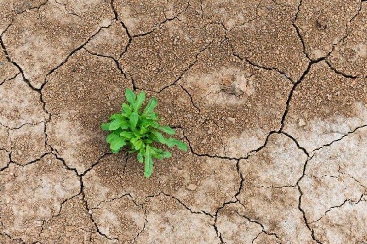 انكماش التمويل اللامركزي (DeFi) اختبار ضغط وليس نهاية الطريق