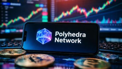 لماذا قفز سعر شبكة Polyhedra (ZKJ) بنسبة 240% اليوم؟