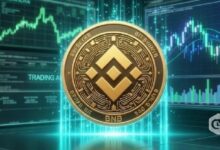 سعر BNB يستهدف 700 دولار بعد حرق الربع السنوي الـ35