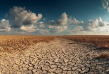 سيولة الإيثيريوم تتراجع مع تراجع الطلب عن مواكبة العرض