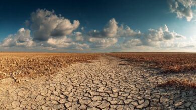 سيولة الإيثيريوم تتراجع مع تراجع الطلب عن مواكبة العرض