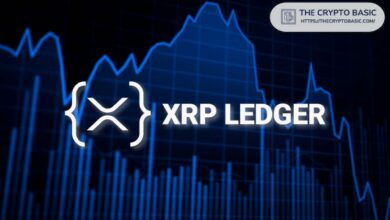 مُتحقق XRPL: XRP سيقود الموجة الجديدة للتمويل اللامركزي DeFi