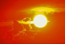 شبكة XRP تشتعل بعد تحويل 75 مليون يرفع النشاط