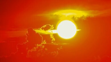 شبكة XRP تشتعل بعد تحويل 75 مليون يرفع النشاط