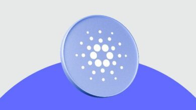 صندوق أوريون يطلق عملياته لجلب سيولة البيتكوين ونمو التمويل اللامركزي إلى كاردانو