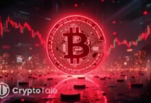 رهانات بوليماركت على انهيار البيتكوين تتصاعد مع وصول احتمالات السقوط إلى 45 ألف دولار إلى 52٪