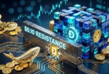 عملة DOGE تختبر حاجز 0.10 دولار بينما تقوم الحيتان بشراء 330 مليون عملة بهدوء