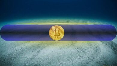 المحلل: انخفاض البيتكوين إلى 60 ألف دولار في فبراير كان قاع الدورة