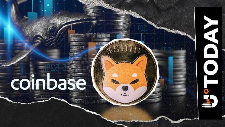 أكبر حوت في شبكة شيبا إينو (SHIB) يودع 240 مليار عملة في كوينبيس بعد منشورات القيادة الأخيرة