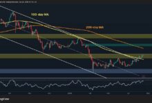 توقع سعر البيتكوين: هل 80 ألف دولار هي الحاجز الأخير قبل الانطلاق الكبير؟