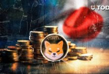 خطوة كبيرة لشيبا إينو: إدراج المحفظة يفتح باب المدفوعات الواقعية في اليابان