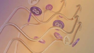 شركة Polygon Labs تستكشف جمع 100 مليون دولار لإطلاق وحدة دفع للعملات المستقرة