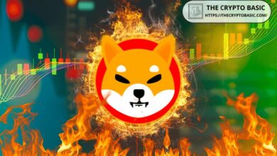 معدل حرق عملة Shiba Inu يهوي بنسبة 98% من ذروة مارس