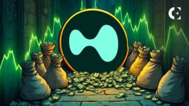 توقيت خروج XPL يثير مخاوف من التلاعب في السوق