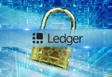 كشف محفظة ليدجر المزيفة: شريحة خفية تسرق عبارات الاسترداد وكلمات المرور