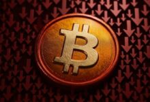 رئيس شركة Alphractal للتحليلات يكشف الموعد المتوقع لوصول البيتكوين إلى قاعه! التفاصيل هنا