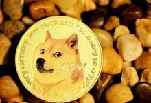 دوجكوين يقترب من نقطة تحول حاسمة مع بدء تشكل نموذج TCT