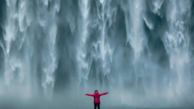 الهروب إلى الأمان: كيف تتفوق Spark من Maker و USDC في تفكيك Aave بقيمة 10 مليارات دولار