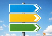 عملة VVV تتطلع إلى قمة تاريخية جديدة بارتفاع 17% – ما المحرك وراء هذا الصعود؟