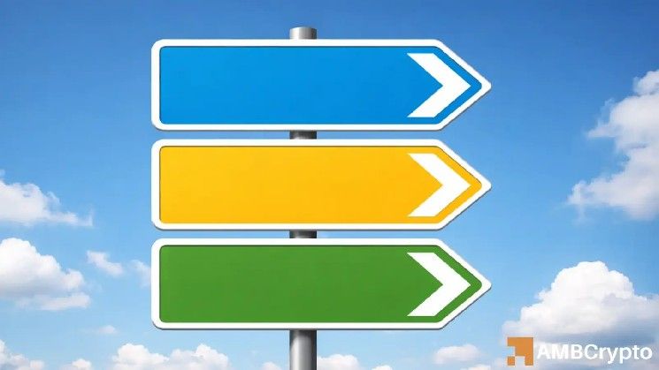 عملة VVV تتطلع إلى قمة تاريخية جديدة بارتفاع 17% – ما المحرك وراء هذا الصعود؟