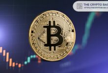البيتكوين لم يسجل بعد إعادة هيكلة الأرباح التي شهدتها أسواق الهبوط السابقة