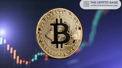 البيتكوين لم يسجل بعد إعادة هيكلة الأرباح التي شهدتها أسواق الهبوط السابقة