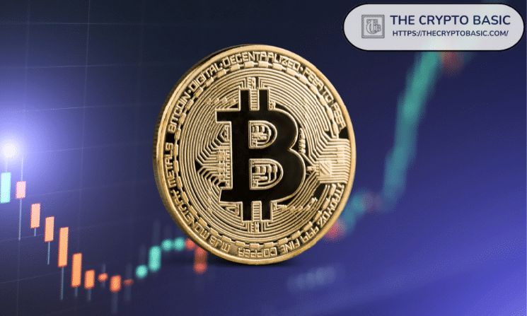 البيتكوين لم يسجل بعد إعادة هيكلة الأرباح التي شهدتها أسواق الهبوط السابقة