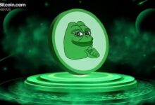 شركة كاناري كابيتال تقدم طلب صندوق بيتف PEPE ETF مع اختبار وول ستريت الطلب المؤسسي على عملات الميم