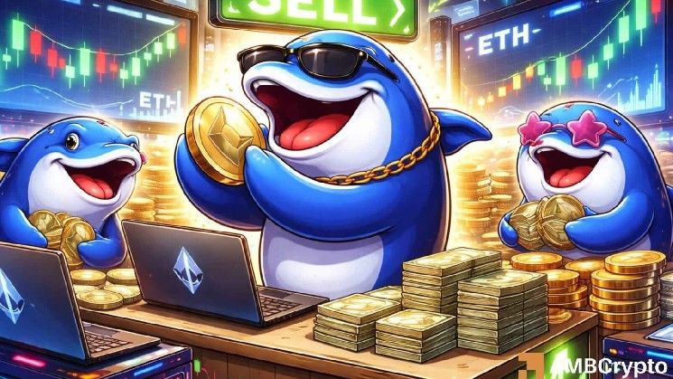 إيثيريوم تصمد رغم انسحاب أزتيك – الثيران تستهدف مستويات أعلى