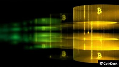 باحثون: أجهزة الكمبيوتر الكمومية قد تُخترق تشفير محافظ العملات الرقمية بـ 10 آلاف كيوبت فقط