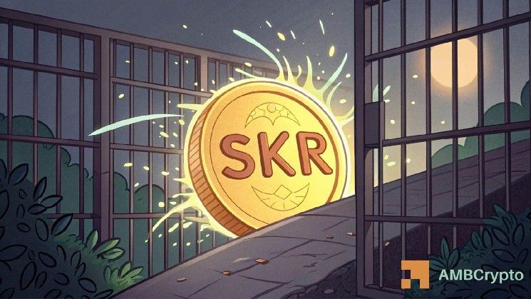 سيكر (SKR) يحقق ارتفاعًا بنسبة 35.78% رغم الضغط البيعي الكبير: ماذا ينتظر السهم؟