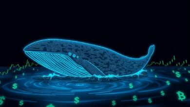 حوت Solana يفك رهان 26.1 مليون دولار من SOL ويودعها في Binance—مخاوف من موجة بيع