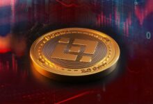 محفظة الذكاء الاصطناعي وضجيج الطرح الأولي: بين بينانس تدفع النظام البيئي وتزايد المضاربة