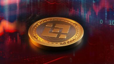 محفظة الذكاء الاصطناعي وضجيج الطرح الأولي: بين بينانس تدفع النظام البيئي وتزايد المضاربة