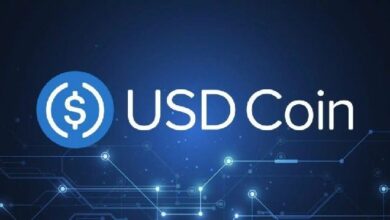 رئيس سيركل جيريمي ألير ينفي مزاعم استخدام USDC لعبور مضيق هرمز! التفاصيل الكاملة