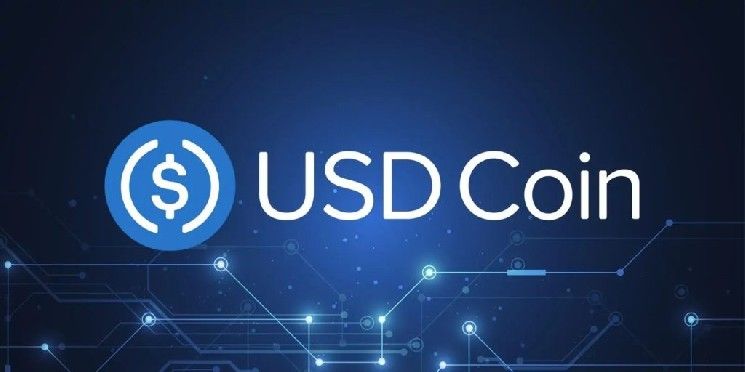 رئيس سيركل جيريمي ألير ينفي مزاعم استخدام USDC لعبور مضيق هرمز! التفاصيل الكاملة