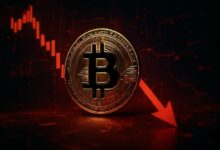 المضاربون يختبرون مستوى الدعم بينما يتداول سعر البيتكوين اليوم في اتجاه تصحيحي هش