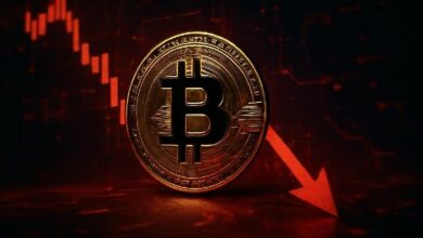 المضاربون يختبرون مستوى الدعم بينما يتداول سعر البيتكوين اليوم في اتجاه تصحيحي هش