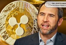 رئيس ريبل يرد بقوة على تصريحات رئيس أفالانش التي تستخف بدور ريبل في القطاع المصرفي