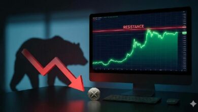 انتعاشة سعر XRP تخبو بسرعة وتعود الضغوط الهبوطية بقوة