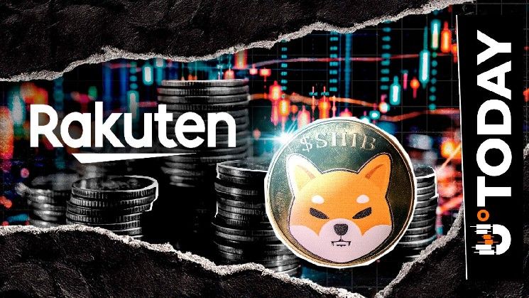 عملاق التجارة الإلكترونية راكوتن يضيف عملة شيبا إينو إلى محفظته الرقمية
