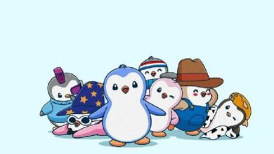 بطاريق "Pudgy Penguins" و"BAYC" تخفي تقلص سوق NFT مع تراجع الأحجام والمستخدمين