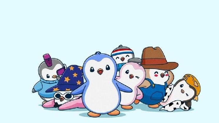بطاريق "Pudgy Penguins" و"BAYC" تخفي تقلص سوق NFT مع تراجع الأحجام والمستخدمين