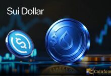سوي تطلق عملة "سوي دولار" لدفع عجلة نمو التمويل اللامركزي