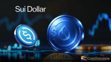 سوي تطلق عملة "سوي دولار" لدفع عجلة نمو التمويل اللامركزي