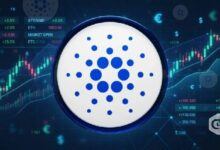 سعر كاردانو يحافظ على مستوى الدعم مع ارتفاع الطلب على المشتقات